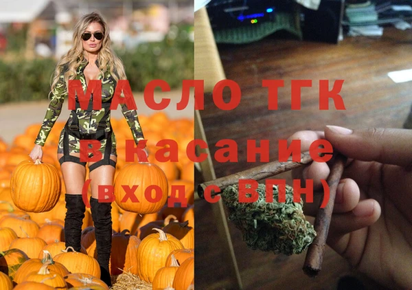стаф Аркадак