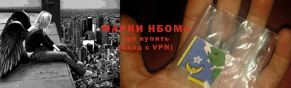 стаф Аркадак