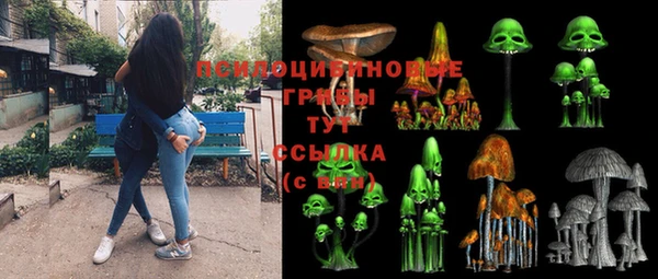 ПСИЛОЦИБИНОВЫЕ ГРИБЫ Армянск