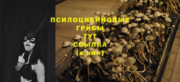шишки Балабаново